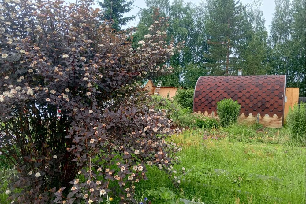 п. Аять, СНТ Калининец, уч. 17 6 (городской округ Невьянский) - фото сада (5)