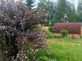 Продажа садового участка: п. Аять, СНТ Калининец, уч. 17 6 (городской округ Невьянский) - Фото 5