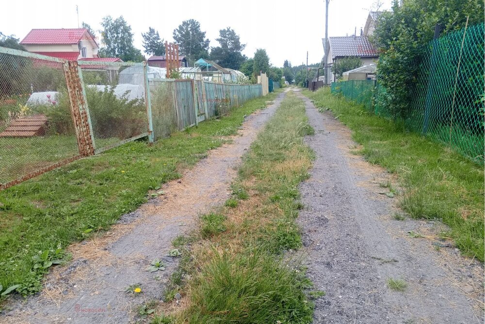 п. Аять, СНТ Калининец, уч. 17 6 (городской округ Невьянский) - фото сада (7)