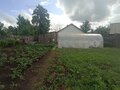 Продажа дома: г. Верхняя Пышма, ул. Клары Цеткин, 3а (городской округ Верхняя Пышма) - Фото 7