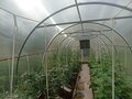 Продажа дома: г. Верхняя Пышма, ул. Клары Цеткин, 3а (городской округ Верхняя Пышма) - Фото 8