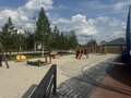Продажа дома: к.п. Зеленые кварталы, ул. Клюквенная, 6 (городской округ Белоярский, п. Рассоха) - Фото 8