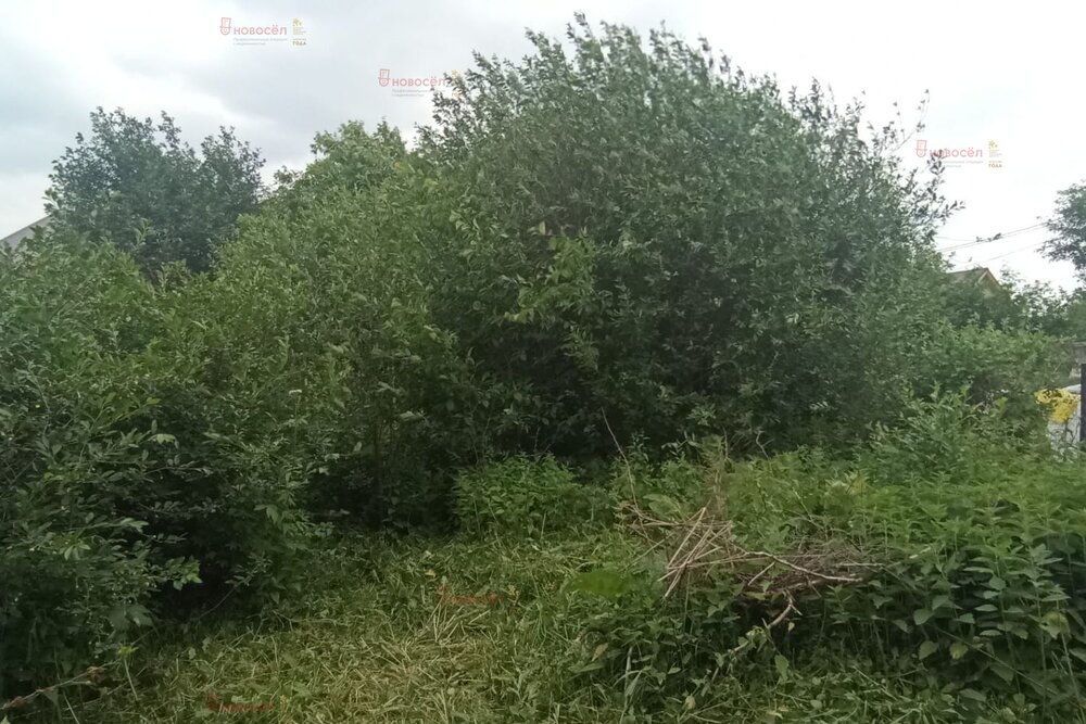 г. Березовский, коллективный сад № 10, уч.   (городской округ Березовский) - фото сада (4)