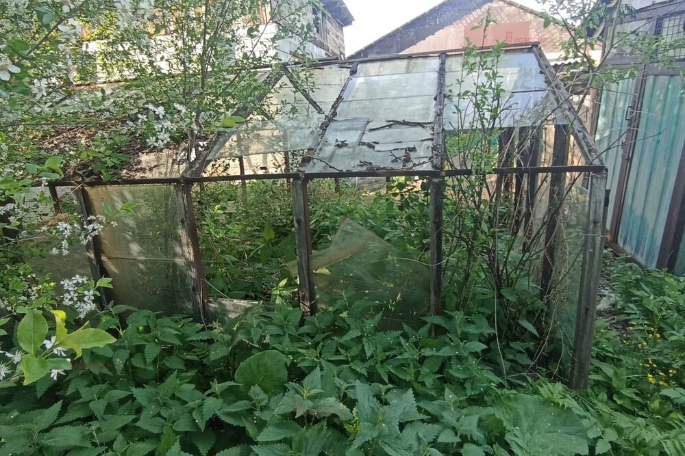 г. Березовский, коллективный сад № 10, уч.   (городской округ Березовский) - фото сада (6)