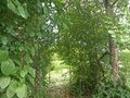 Продажа садового участка: г. Березовский, коллективный сад № 10, уч.   (городской округ Березовский) - Фото 8