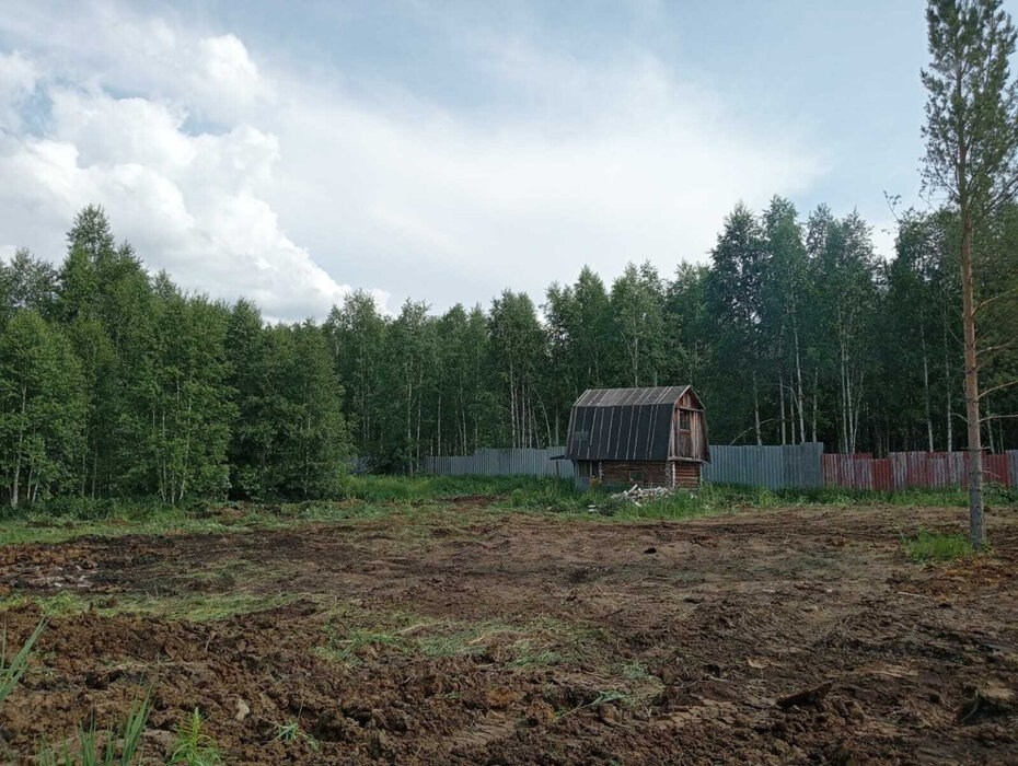 с. Кунгурка, Ревда, юго-восточнее с. Кунгурка, СНТ «Березовая роща», участок №, уч. 129 (городской округ Ревда) - фото сада (3)