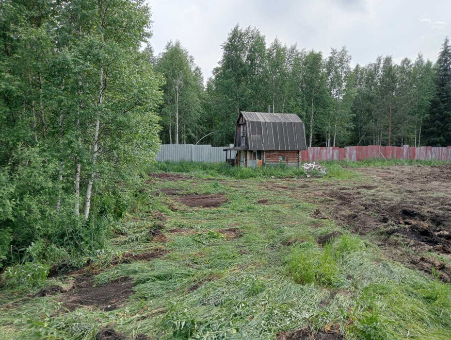 с. Кунгурка, Ревда, юго-восточнее с. Кунгурка, СНТ «Березовая роща», участок №, уч. 129 (городской округ Ревда) - фото сада (4)