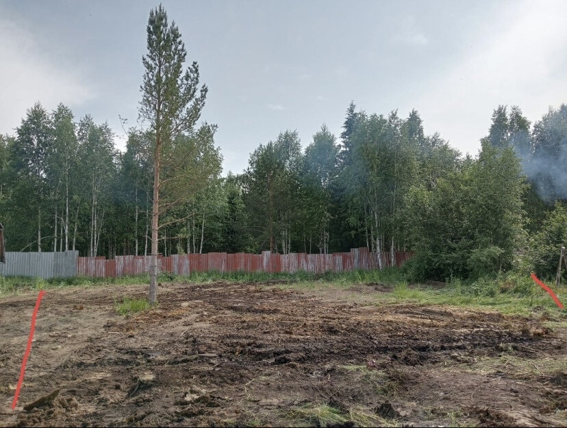 с. Кунгурка, Ревда, юго-восточнее с. Кунгурка, СНТ «Березовая роща», участок №, уч. 128 (городской округ Ревда) - фото сада (1)