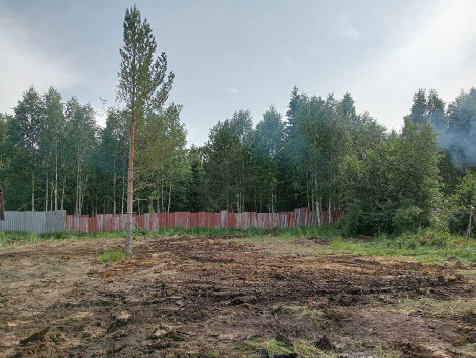 с. Кунгурка, Ревда, юго-восточнее с. Кунгурка, СНТ «Березовая роща», участок №, уч. 128 (городской округ Ревда) - фото сада (2)