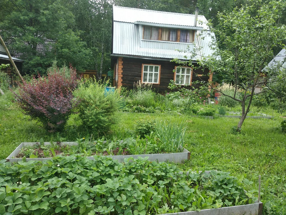 п. Красный Адуй, Коллективный Сад № 70, уч. 39 (городской округ Верхняя Пышма) - фото сада (1)