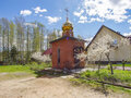 Продажа садового участка: Екатеринбург, СПК Родники (ВИЗ) - Фото 5