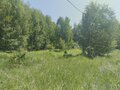 Продажа земельного участка коммерческого назначения: д. Подкорытова (Челябинская область, Каслинский район) - Фото 2