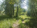 Продажа земельного участка коммерческого назначения: д. Подкорытова (Челябинская область, Каслинский район) - Фото 3