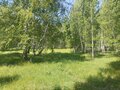 Продажа земельного участка коммерческого назначения: д. Подкорытова (Челябинская область, Каслинский район) - Фото 5