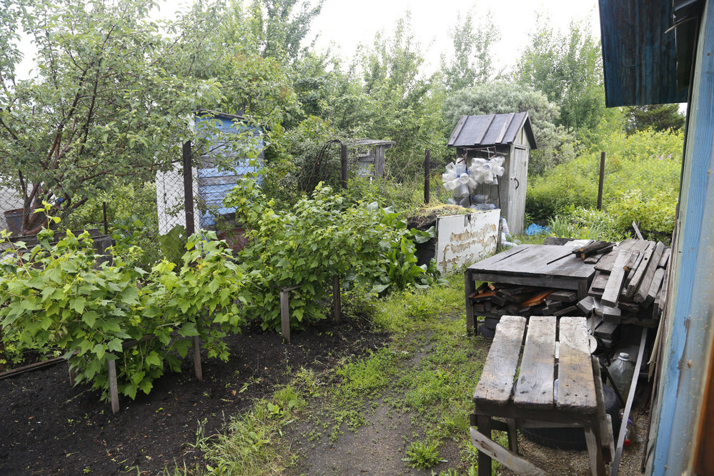 Екатеринбург, к/с  Авиатор 5 (Кольцово) - фото сада (5)