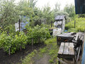 Продажа садового участка: Екатеринбург, к/с  Авиатор 5 (Кольцово) - Фото 5