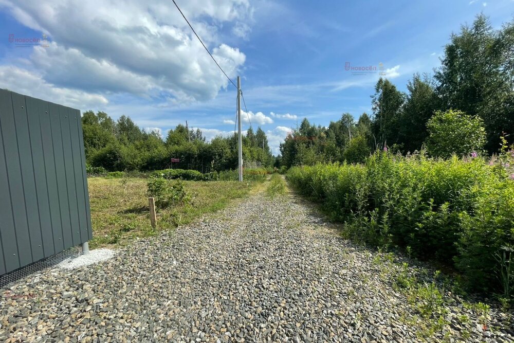 Екатеринбург, СТ Березка, уч. 137,217 - фото сада (4)
