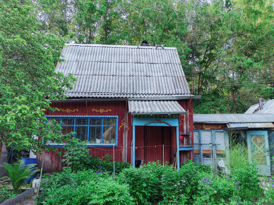 п. Прохладный, СНТ Родник УВКП (городской округ Белоярский) - фото сада (5)