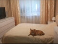 Продажа квартиры: Екатеринбург, ул. Дагестанская, 34 (Химмаш) - Фото 4