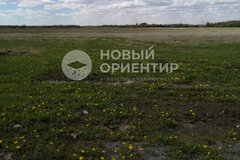 к.п. Александрия, ул. Пятнадцатая, 40 (городской округ Белоярский, д. Гусева) - фото земельного участка