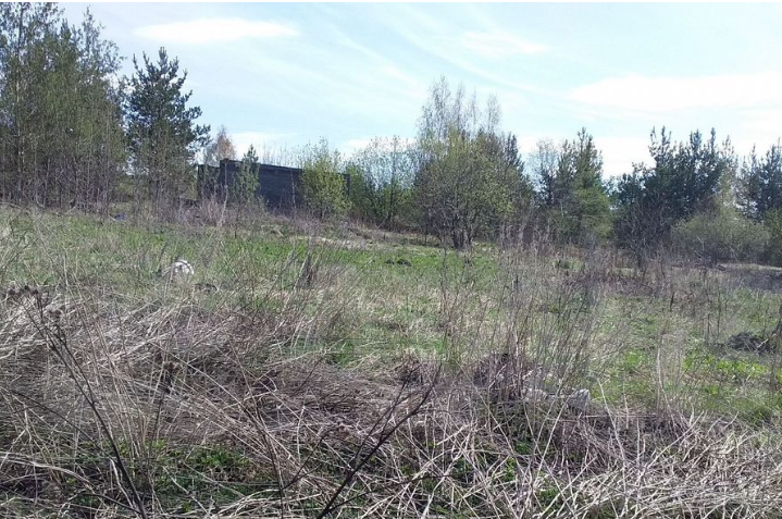 д. Гагарка, ул. Клубная, 24 (городской округ Заречный) - фото земельного участка (4)