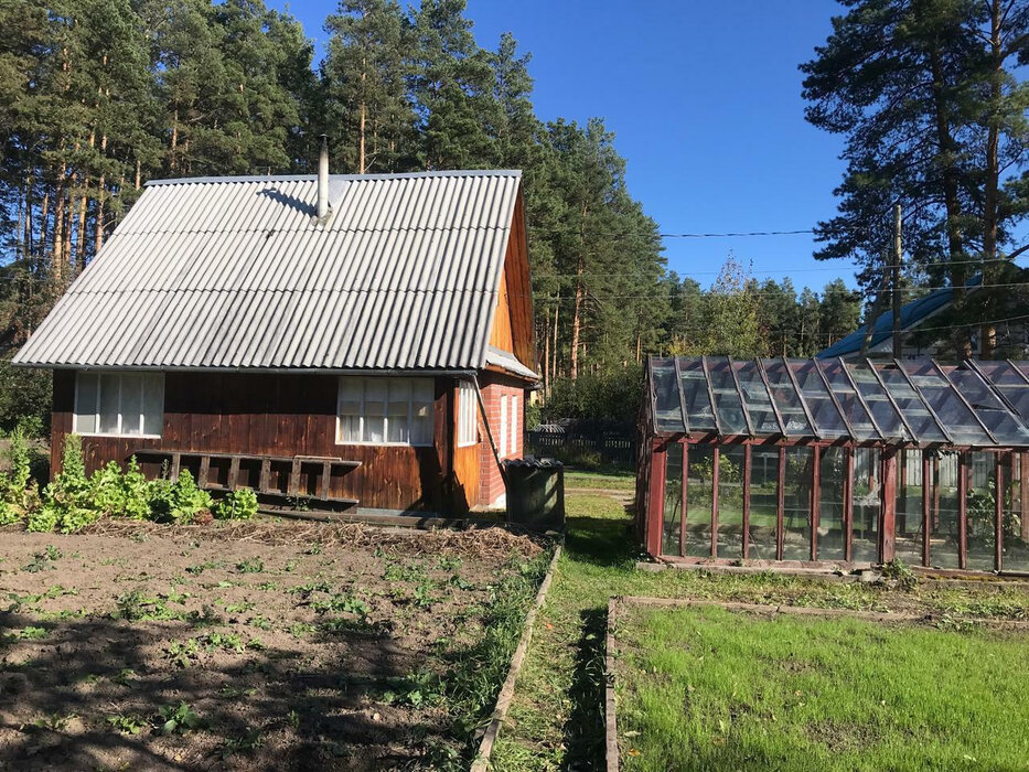 г. Сысерть, СТ Надежда, уч. 17 (городской округ Сысертский) - фото сада (2)