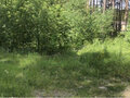 Продажа земельного участка: г. Сысерть, ул. Радужный, 2 (городской округ Сысертский) - Фото 4