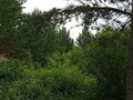 Продажа садового участка: п. Хризолитовый, 50 лет Победы (городской округ Белоярский) - Фото 6