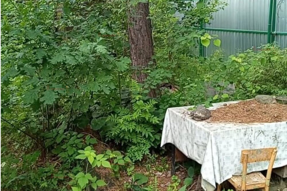 п. Хризолитовый, 50 лет Победы (городской округ Белоярский) - фото сада (8)