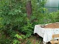 Продажа садового участка: п. Хризолитовый, 50 лет Победы (городской округ Белоярский) - Фото 8