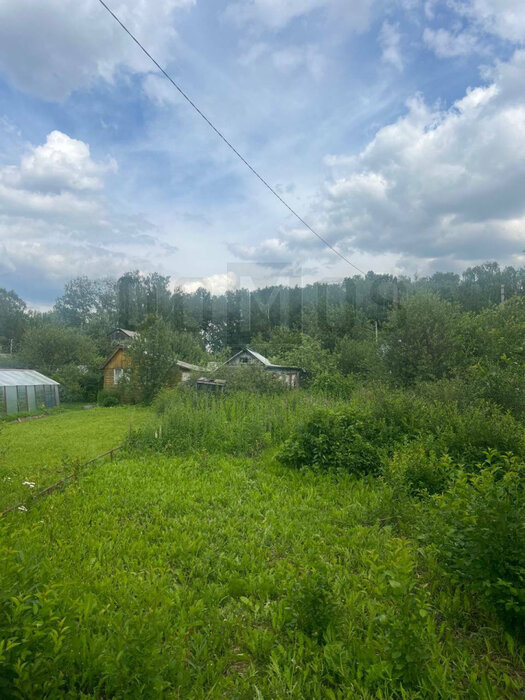 г. Березовский, коллективный сад № 6 (городской округ Березовский) - фото сада (4)