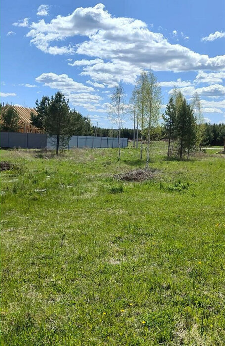п. Сарапулка, ул. Васильковая (городской округ Березовский) - фото земельного участка (2)