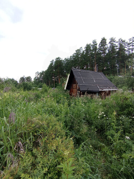 Екатеринбург, СНТ 