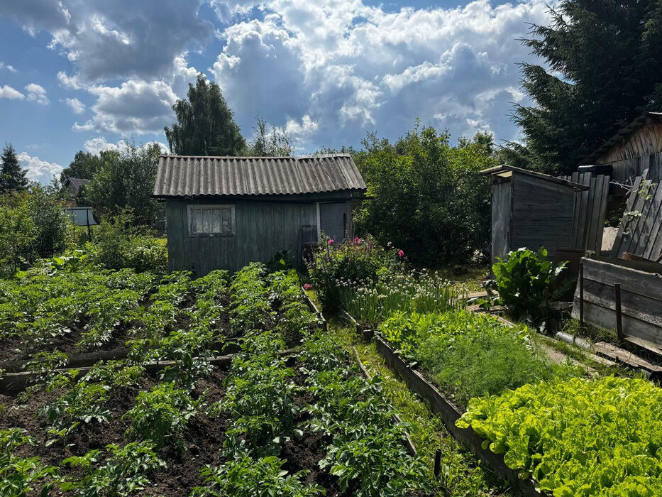 г. Дегтярск, к/с СНТ-4,, ул. Горная, 48 (городской округ Город Дегтярск) - фото сада (8)