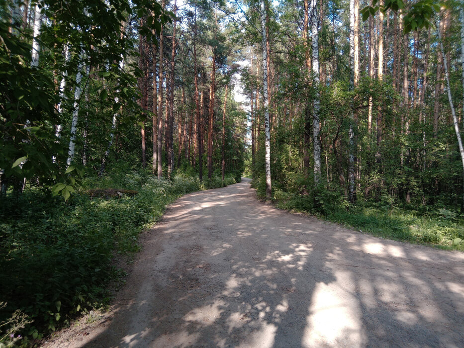 Екатеринбург, Малый дачник, уч. 4 (Лечебный) - фото сада (6)