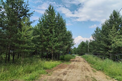 д. Ялунина, ул. Сосновая, 10 (городской округ Белоярский) - фото земельного участка