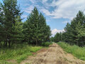 Продажа земельного участка: д. Ялунина, ул. Сосновая, 10 (городской округ Белоярский) - Фото 1