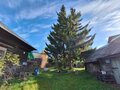 Продажа дома: п. Сарапулка, ул. Меньшикова, 68 (городской округ Березовский) - Фото 7
