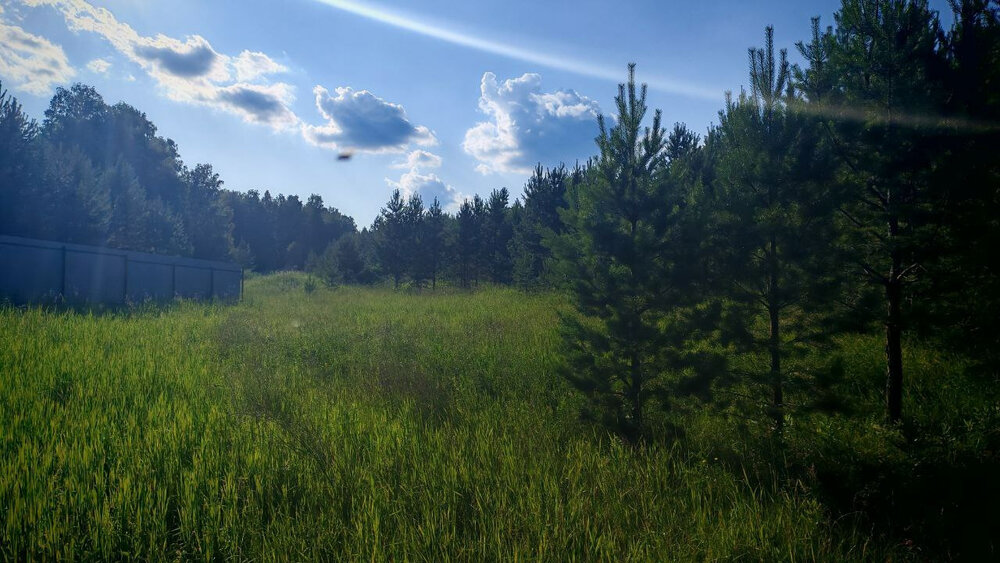 п. Колюткино, микрорайон Солнечный Берег, ул.Восточная, 21 (городской округ Белоярский) - фото земельного участка (6)