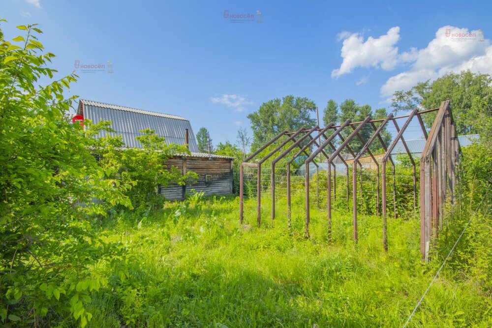 Екатеринбург, СНТ Вагонник (Старая Сортировка) - фото сада (7)