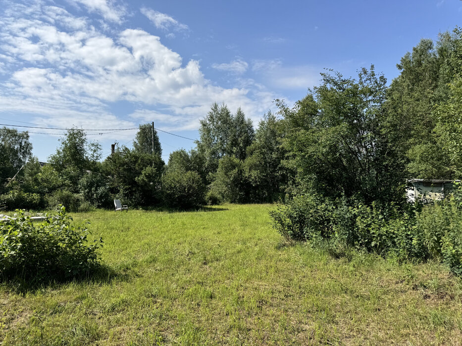 Екатеринбург, сад 