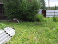 Продажа садового участка: п. Бобровский, СНТ Заречный, ул. Чернавских, 16 (городской округ Сысертский) - Фото 6