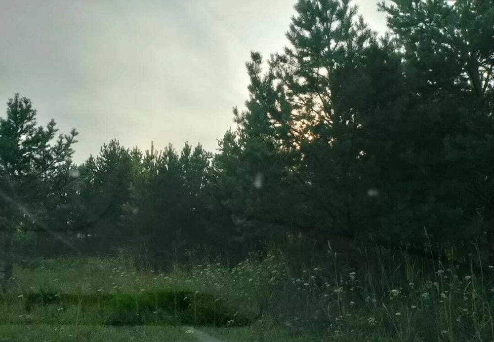 п. Бобровский, ул. Крапивина, 4 (городской округ Сысертский) - фото земельного участка (4)