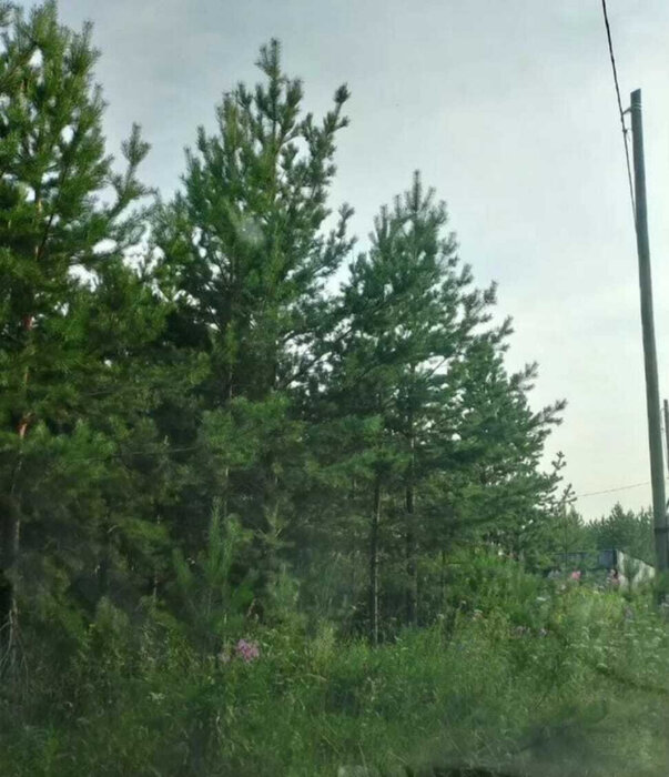 п. Бобровский, ул. Крапивина, 4 (городской округ Сысертский) - фото земельного участка (5)