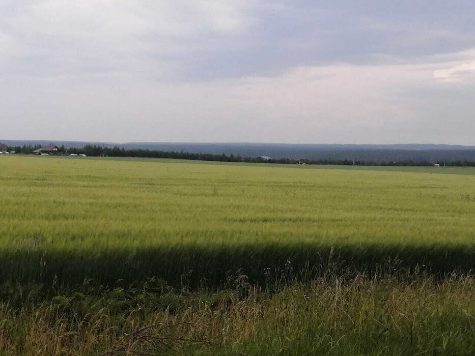 п. Бобровский, ул. Крапивина, 4 (городской округ Сысертский) - фото земельного участка (8)