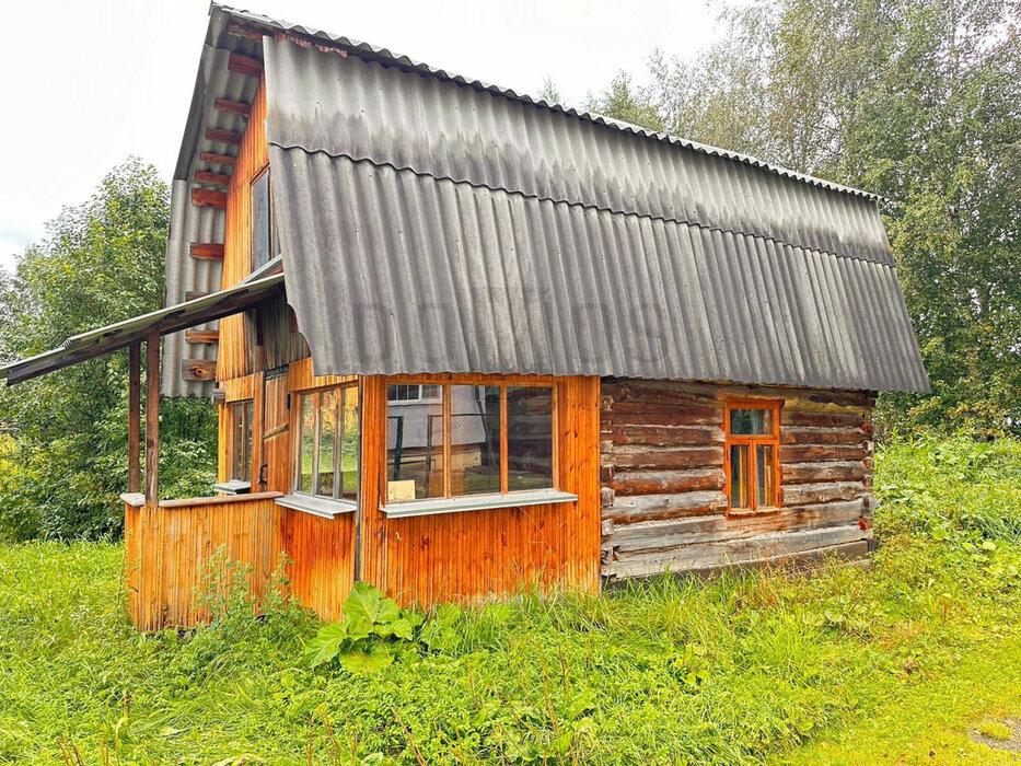 п. Красный Адуй, СНТ Урал, ул. 6-я улица, 41 (городской округ Верхняя Пышма) - фото сада (1)