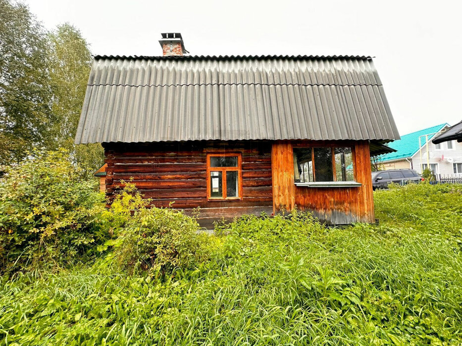 п. Красный Адуй, СНТ Урал, ул. 6-я улица, 41 (городской округ Верхняя Пышма) - фото сада (2)
