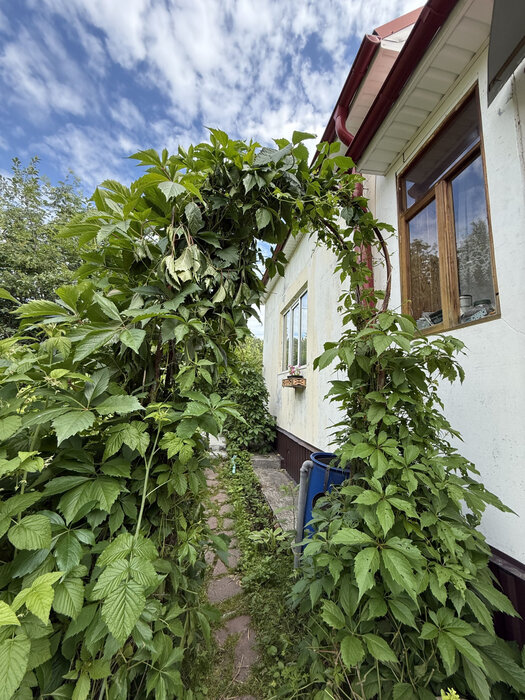 Екатеринбург, КС Горняк, уч. 66 (Палкинский торфяник) - фото сада (6)