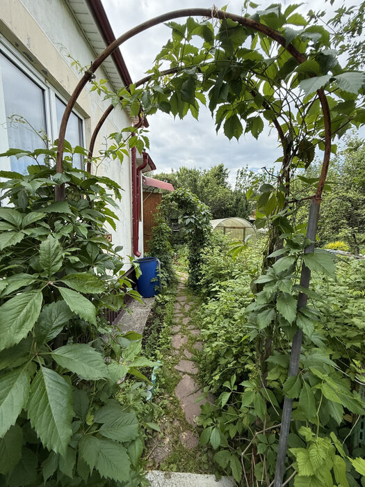 Екатеринбург, КС Горняк, уч. 66 (Палкинский торфяник) - фото сада (7)