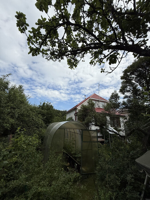 Екатеринбург, КС Горняк, уч. 66 (Палкинский торфяник) - фото сада (8)